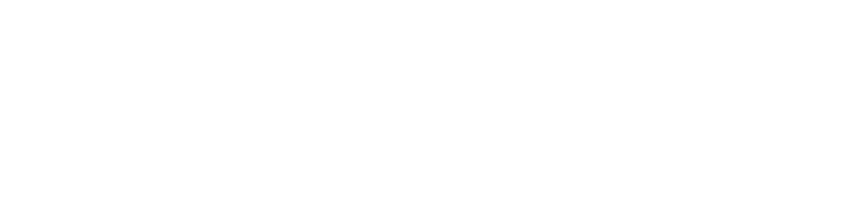 Lew Electric PowerDen