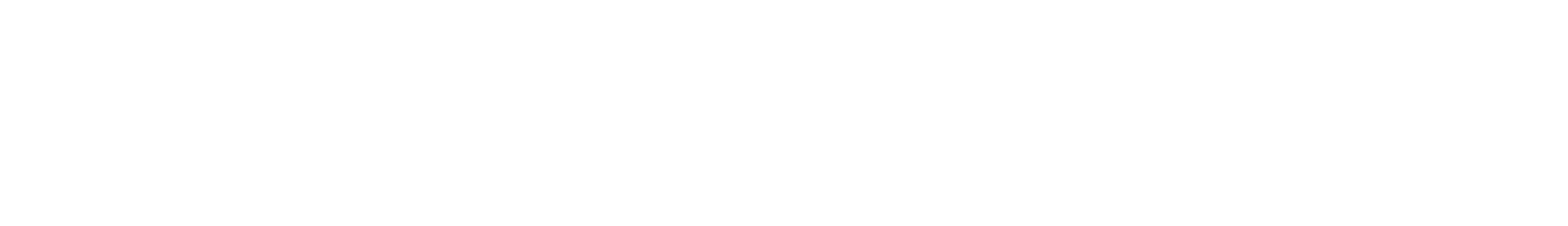 Lew Electric PowerPro
